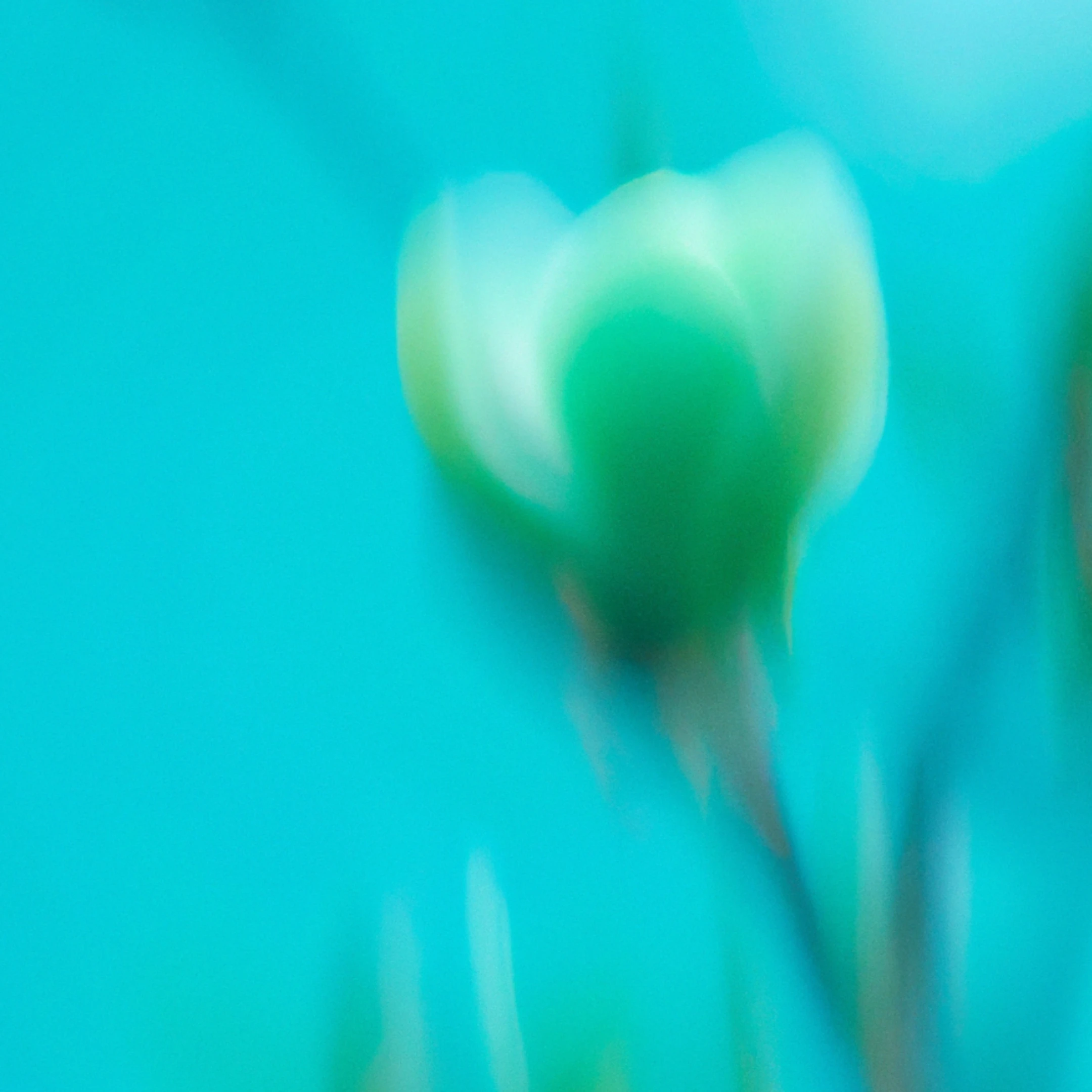 ServerGPT versus GuildLabs comparison artwork for AI Discord community building.